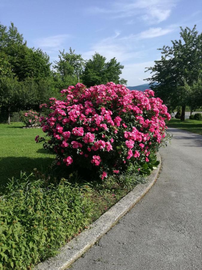 Guesthouse Sebalj Rakovica Zewnętrze zdjęcie